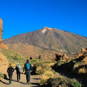 Veranstaltung: Teide National Park: Half-Day Guided Tour + Roundtrip Transfer, Mount Teide National Park in Tenerife