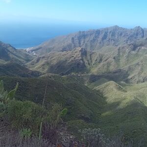 Veranstaltung: Parque Rural de Anaga: Senderismo guiado desde Cruz del Carmen + Degustación gastronómica, Parque Rural de Anaga in San Cristóbal de La Laguna