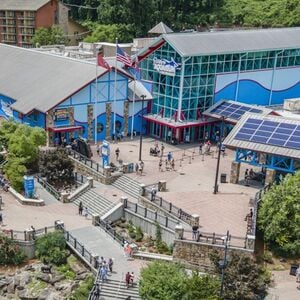 Veranstaltung: Ripley's Aquarium of the Smokies: Entry Ticket, Ripley's Aquarium of the Smokies in Gatlinburg