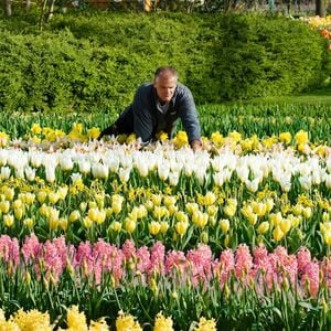 Veranstaltung: Keukenhof: Entry + Return Bus Transfer from A’dam Tower, Keukenhof in Lisse