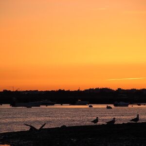 Veranstaltung: Ria Farmosa: passeio guiado de barco ao pôr do sol, Faro Cruises in Faro