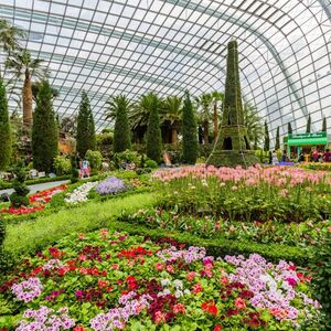 Veranstaltung: Singapore Gardens by the Bay: Flower Dome & Cloud Forest + 2-Hr FunVee Bus Tour, Gardens by the Bay in Singapore