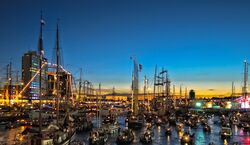 Veranstaltung: SAIL Amsterdam 2025: Evening Cruise with Drinks & Fireworks, SAIL Amsterdam Cruises in Amsterdam