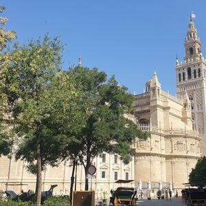 Veranstaltung: Catedral de Sevilla: Entrada + Visita Guiada, Seville City Tours in Seville