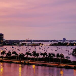 Veranstaltung: Miami: Scenic Night Tour + Skyview Observation Wheel, Miami City Tours in Miami