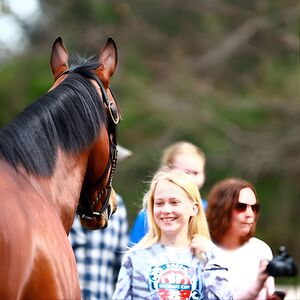 Veranstaltung: Half-Day Thoroughbred Horse Farm Tour in Kentucky, Embassy Suites by Hilton Lexington / UK Coldstream in Lexington