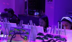 Veranstaltung: Amsterdam: Paint and Sip in the Dark, Paint and Sip Amsterdam in Amsterdam