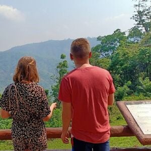 Veranstaltung: Khao Yai National Park Tour from Bangkok – Full Day, Day Trips from Bangkok in Bangkok