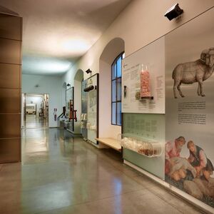 Veranstaltung: Museo del Tessuto: Biglietto d'ingresso, Textile Museum in Prato