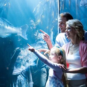 Veranstaltung: Chicago All-Inclusive Pass: 30+ Attractions including Shedd Aquarium, Chicago City Cards in Chicago