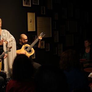 Veranstaltung: Porto: Concerto de Fado Tradicional, Ideal Clube de Fado in Porto