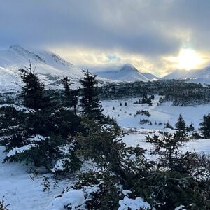 Veranstaltung: Winter Snowshoeing Adventure, William A. Egan Civic & Convention Center in Anchorage