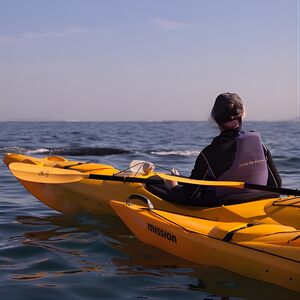 Veranstaltung: Kayak to the penguins in Simons Town, Long Beach Public Beach in Cape Town