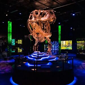 Veranstaltung: Melbourne Museum: Skip The Line Ticket for Victoria the T. Rex, Melbourne Museum in Melbourne