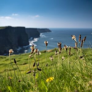 Veranstaltung: Galway to Cliffs of Moher Bus: Half-Day Express Tour, Day Trips from Galway in Galway