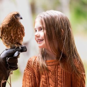 Veranstaltung: Capes Raptor Centre: Bird of Prey Encounter & Forest Walk, Eagles Heritage Raptor Wildlife Centre in Margaret River