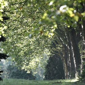 Veranstaltung: Arboretum de Versailles-Chèvreloup: Billet d'entrée, Arboretum de Chèvreloup in Rocquencourt