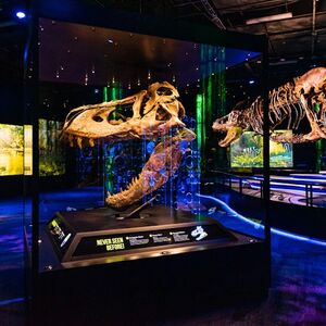 Veranstaltung: Melbourne Museum: Skip The Line Ticket for Victoria the T. Rex, Melbourne Museum in Melbourne