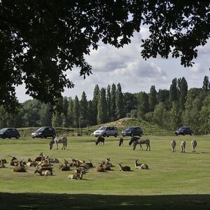 Veranstaltung: Zoo Safari de Thoiry : billet coupe-file, Parc Et Chateau De Thoiry in Paris