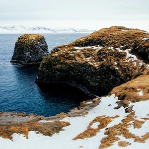 Veranstaltung: Snæfellsnes: Black Beach Day Trip + Dinner, Day Trips from Reykjavik in Reykjavík