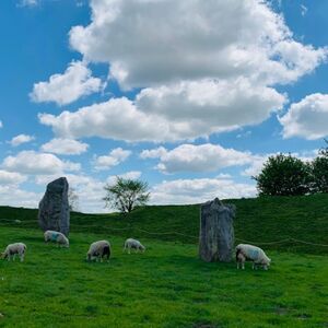 Veranstaltung: Stonehenge & Stone Circles of Avebury: Guided Day Trip from London, Stonehenge & Bath Tours from London in London