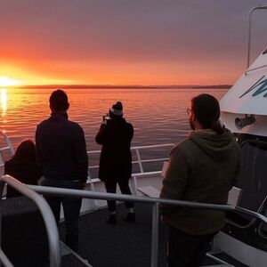 Veranstaltung: Phillip Island Sunset Cruise, Wildlife Coast Cruises in Cowes