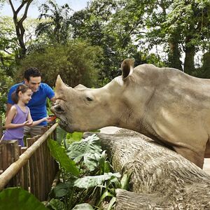 Veranstaltung: Singapore Zoo: Entry Ticket + Roundtrip Transport, Singapore Zoo in Singapore