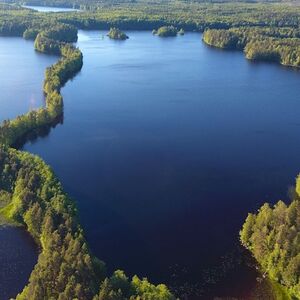 Veranstaltung: Helsinki: Magical Taiga Forest Hike, Day Trips from Helsinki in Helsinki