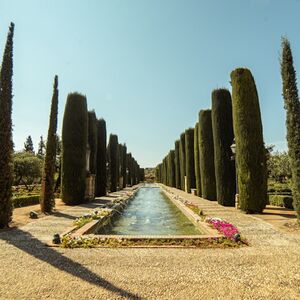 Veranstaltung: Recorrido guiado a pie por lo más destacado de Córdoba, Real Alcázar de Sevilla in Sevilla