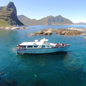 Veranstaltung: Duiker Island: Seal Sightseeing Cruise, Cape Town Sightseeing Cruises in Cape Town