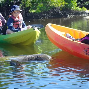 Veranstaltung: Guided Kayak Eco Tour - Bunche Beach, Kayak Excursions - Bunche Beach in Fort Myers