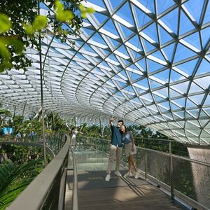 Veranstaltung: Singapore Garden City Pass: Admission to 3-7 Attractions, Singapore SIM Cards in Singapore