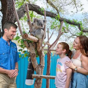 Veranstaltung: Tampa ZooQuarium: ZooTampa & The Florida Aquarium Combo Ticket, The Florida Aquarium in Tampa