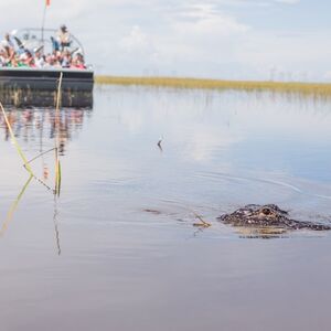 Veranstaltung: Florida Everglades Adventure Package, Sawgrass Recreation Park in Fort Lauderdale