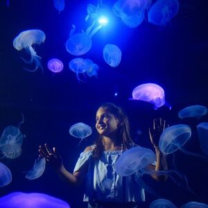 Veranstaltung: Palma Aquarium: Entrada + Traslado desde Zona Este, Palma Aquarium in Palma