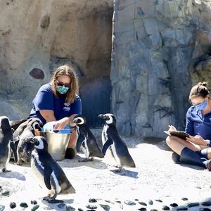 Veranstaltung: Aquarium of the Pacific: Membership Voucher, Aquarium of the Pacific in Long Beach