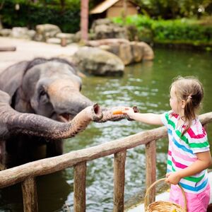 Veranstaltung: Warsaw Zoo Park with Private Transport, Warsaw Zoo Park in Warsaw