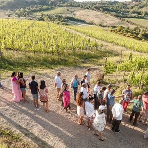 Veranstaltung: Montepulciano: Tour di degustazione di vini in due cantine, Siena Wine Tasting in Siena