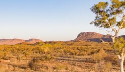 Veranstaltung: West MacDonnell Ranges: Guided Tour + Roundtrip Transfer + Lunch, Uluru Day Trips from Alice Springs in Alice Springs