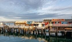 Veranstaltung: From San Francisco: Full Day Monterey and Carmel Tour, Day Trips from San Francisco in San Francisco