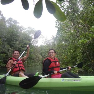 Veranstaltung: Mangrove Kayaking in Singapore, Adventures by Asian Detours in Singapore