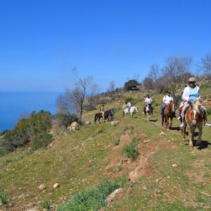 Veranstaltung: Alanya: Guided Horseback Riding, Alanya Outdoor Activities in Alanya