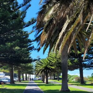 Veranstaltung: Discover Victor Harbor Walking Tour, Victor Harbor Horse Drawn Tramway in Cairns