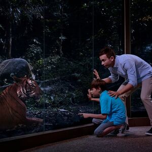 Veranstaltung: 2-in-1 Park Hopper: Singapore Night Safari + River Wonders, Night Safari in Singapore