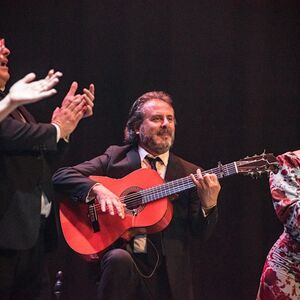 Veranstaltung: Teatro Flamenco Sevilla: Espectáculo de flamenco, Teatro Flamenco Sevilla in Sevilla