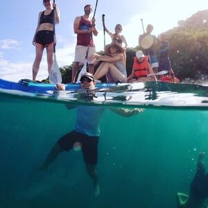 Veranstaltung: Miami: Guided Snorkeling & Paddleboarding + Drinks, Miami Water Activities in Miami