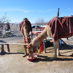 Veranstaltung: Cappadocia: Mix Tour, Day Trips from Ürgüp in Ürgüp