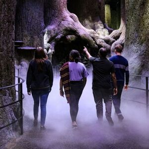 Veranstaltung: London: Warner Bros. Studio Tour + Roundtrip Transfer, Day Trips from London in London