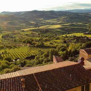 Veranstaltung: Montepulciano: Visita guidata al vigneto + degustazione di vini, Tuscany Wine Tasting in Montalcino