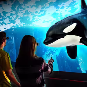 Veranstaltung: Hologram Zoo CDMX, Hologram Zoo México in CDMX